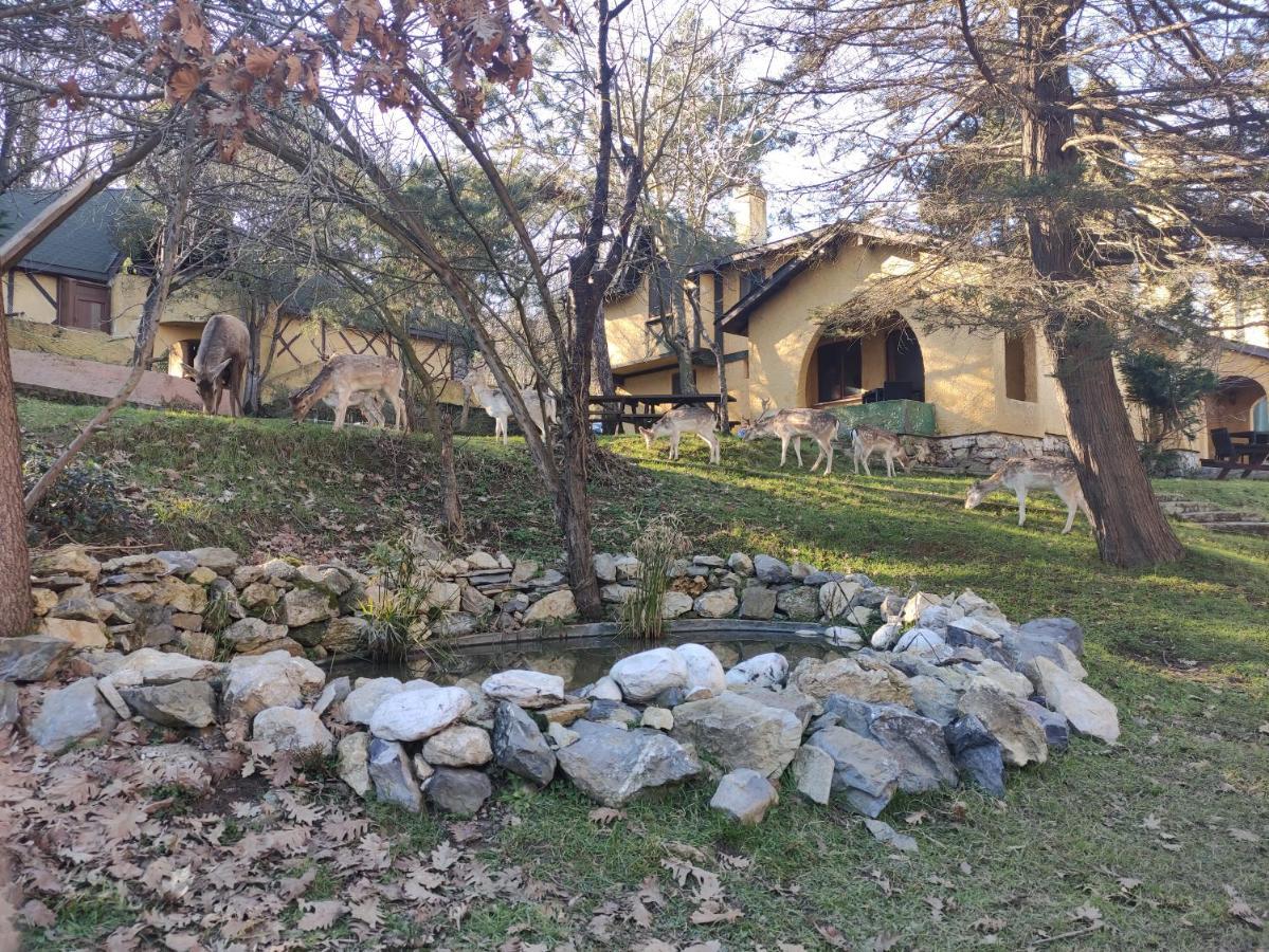 Polonezkoey Country Club & Accommodation In The Wildlife Park! Isztambul Kültér fotó