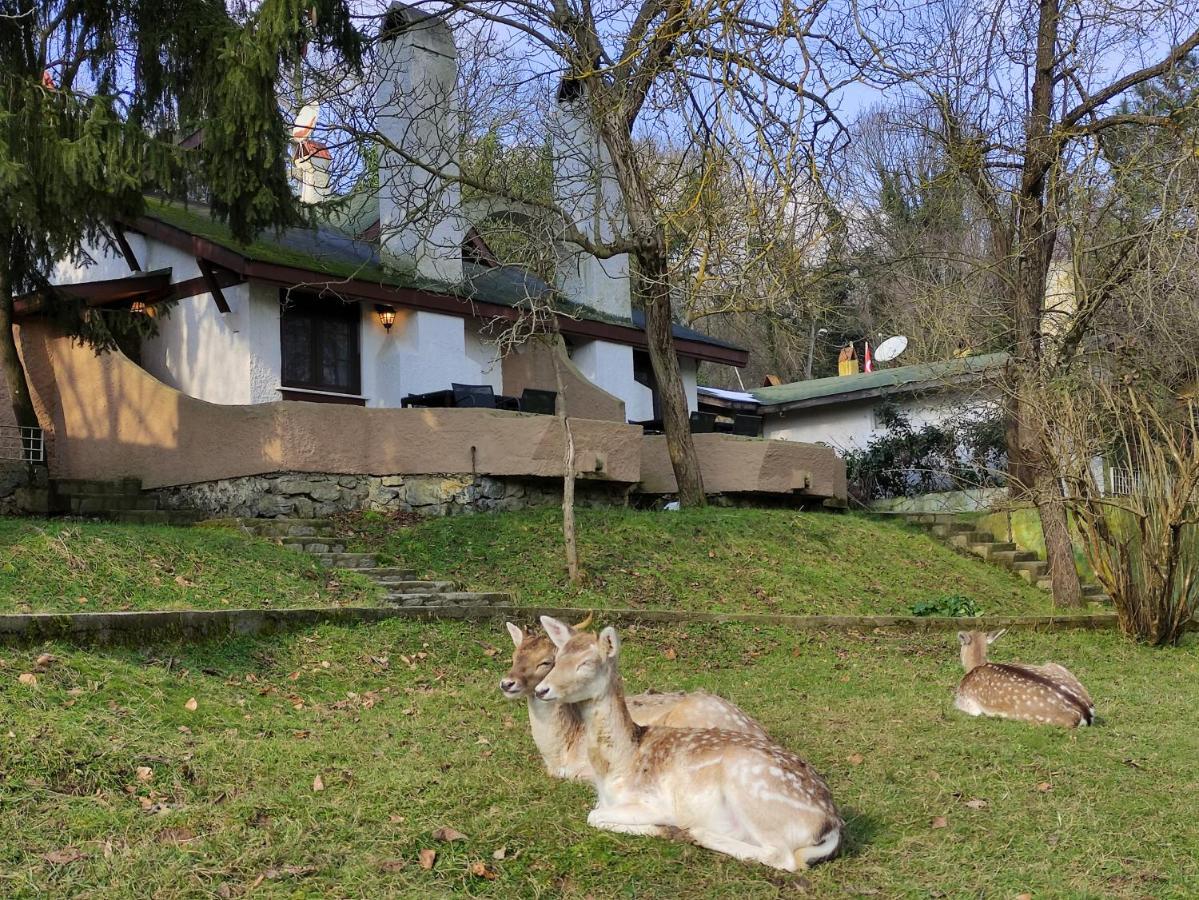 Polonezkoey Country Club & Accommodation In The Wildlife Park! Isztambul Kültér fotó