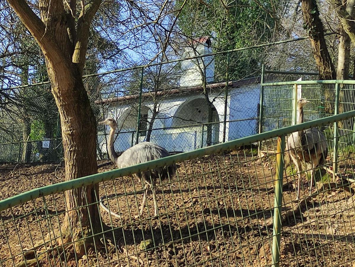 Polonezkoey Country Club & Accommodation In The Wildlife Park! Isztambul Kültér fotó