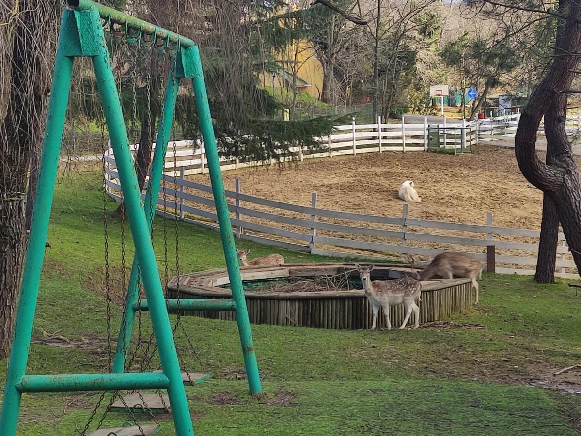 Polonezkoey Country Club & Accommodation In The Wildlife Park! Isztambul Kültér fotó