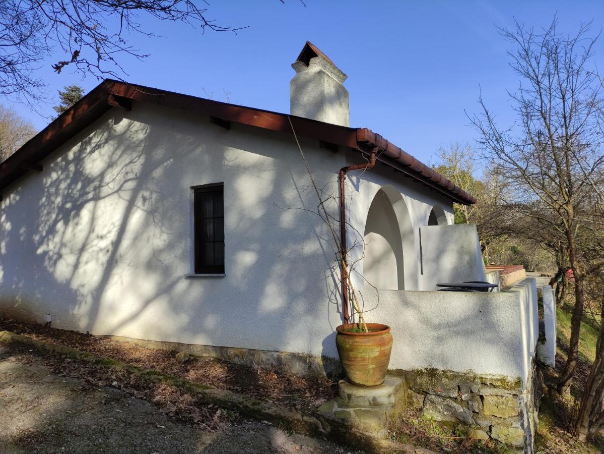 Polonezkoey Country Club & Accommodation In The Wildlife Park! Isztambul Kültér fotó