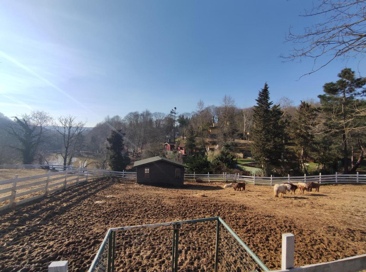 Polonezkoey Country Club & Accommodation In The Wildlife Park! Isztambul Kültér fotó