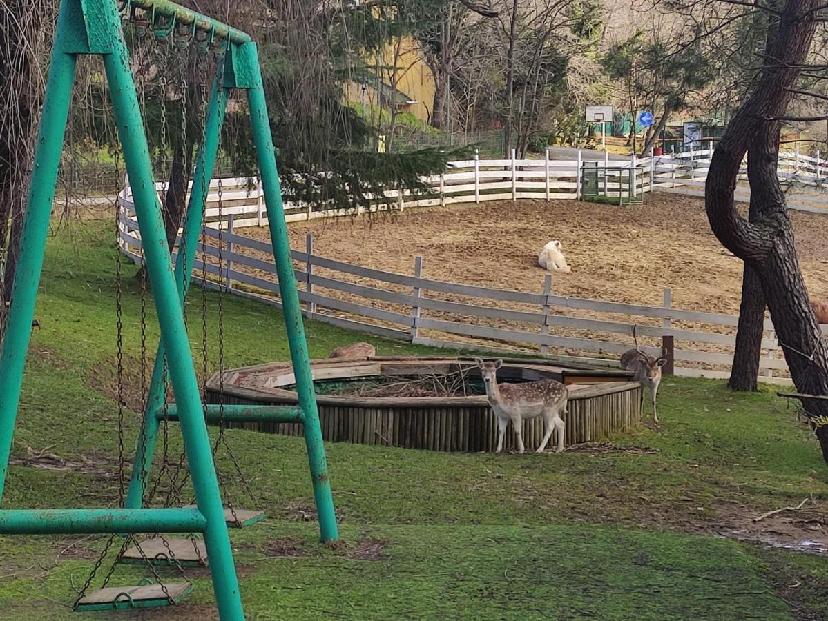 Polonezkoey Country Club & Accommodation In The Wildlife Park! Isztambul Kültér fotó