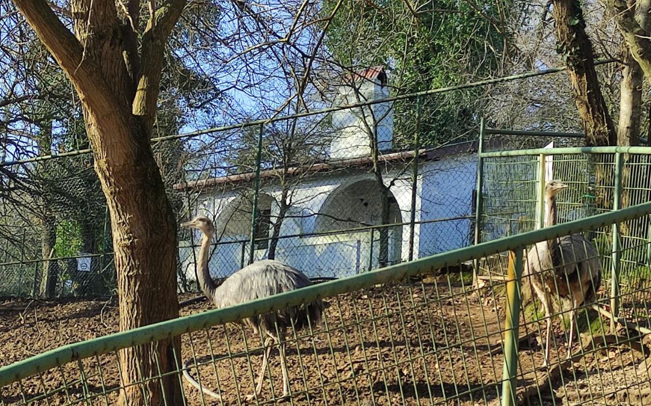 Polonezkoey Country Club & Accommodation In The Wildlife Park! Isztambul Kültér fotó