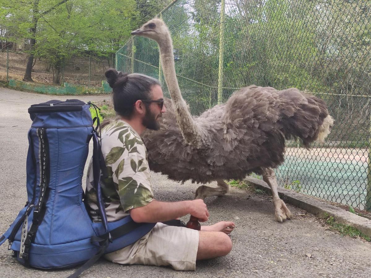 Polonezkoey Country Club & Accommodation In The Wildlife Park! Isztambul Kültér fotó