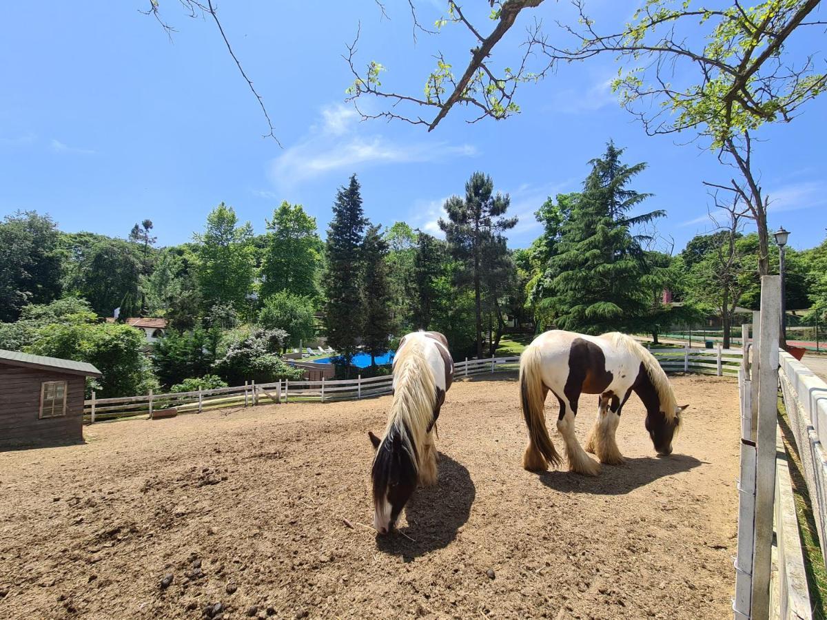Polonezkoey Country Club & Accommodation In The Wildlife Park! Isztambul Kültér fotó