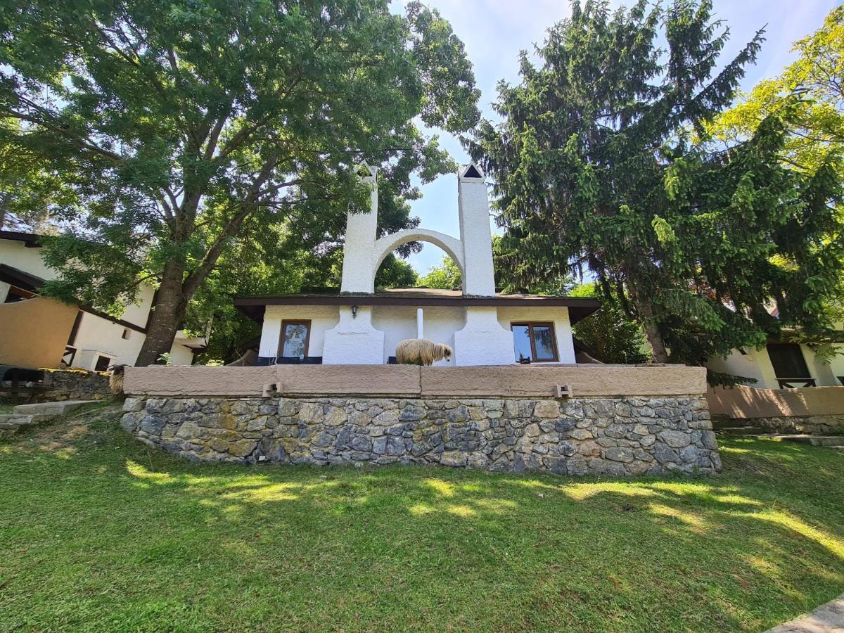 Polonezkoey Country Club & Accommodation In The Wildlife Park! Isztambul Kültér fotó