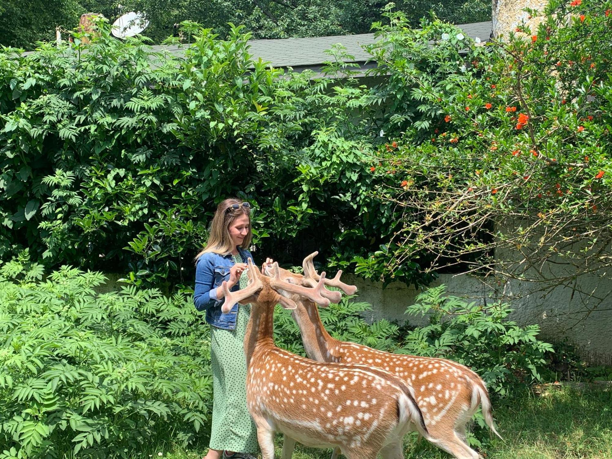 Polonezkoey Country Club & Accommodation In The Wildlife Park! Isztambul Kültér fotó