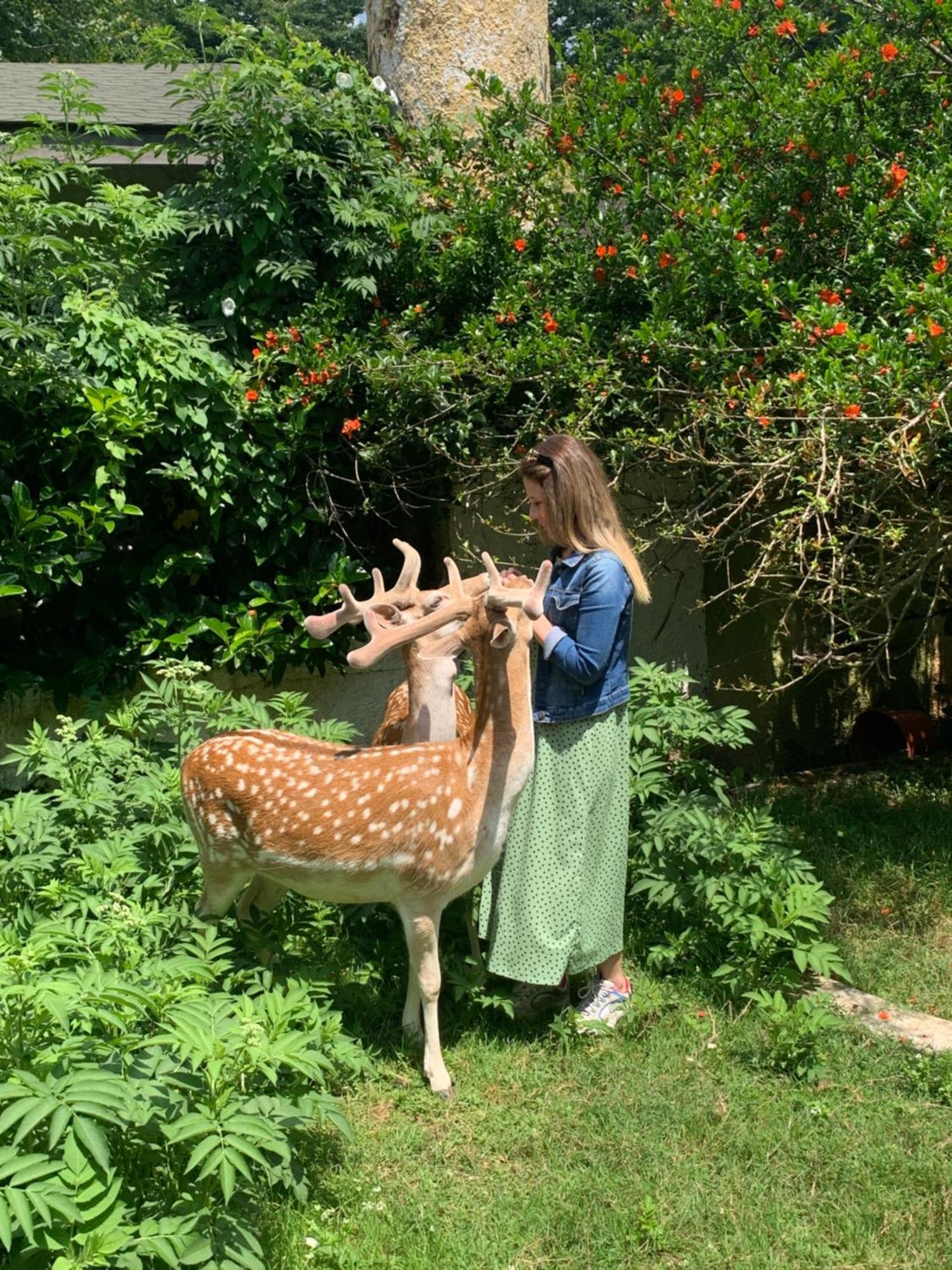 Polonezkoey Country Club & Accommodation In The Wildlife Park! Isztambul Kültér fotó