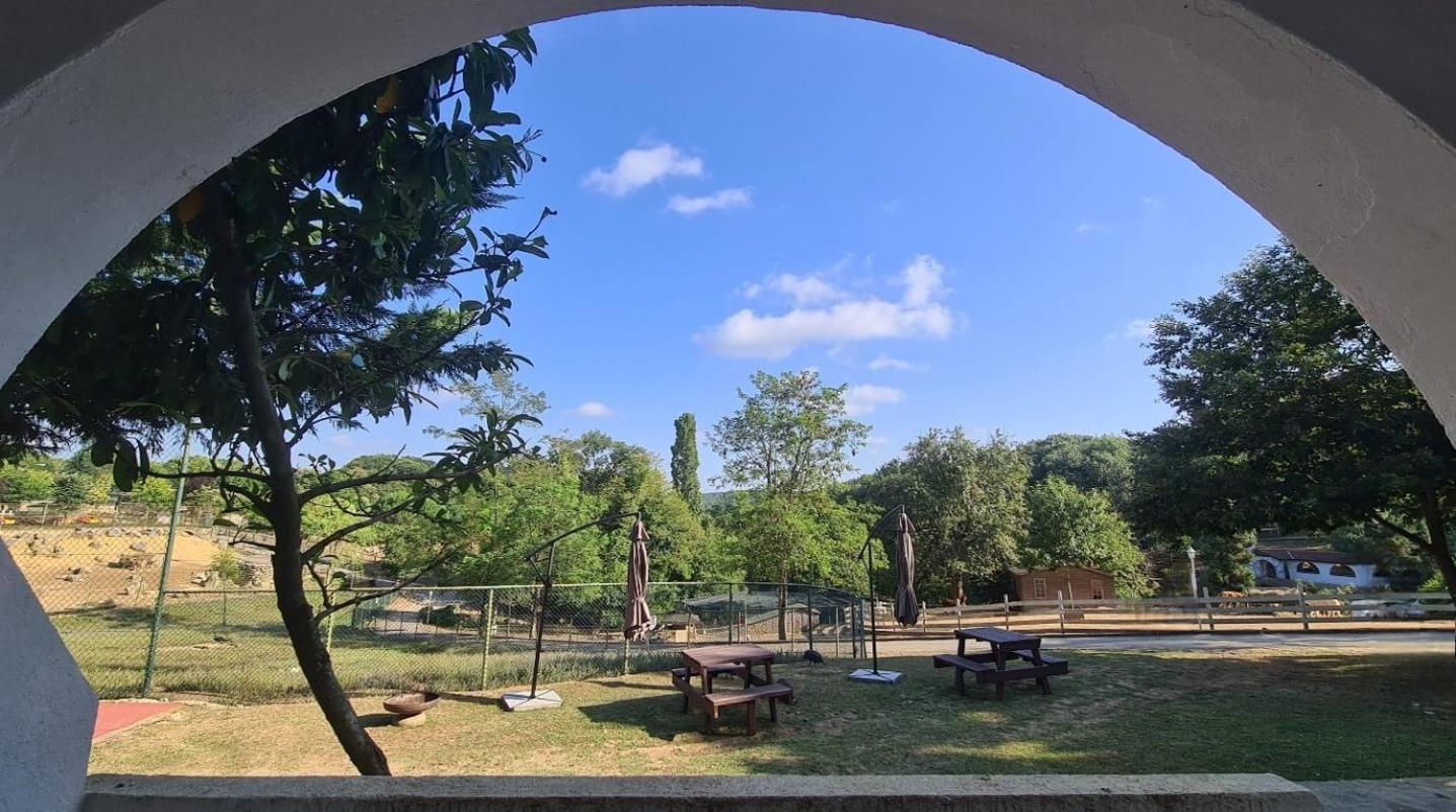 Polonezkoey Country Club & Accommodation In The Wildlife Park! Isztambul Kültér fotó