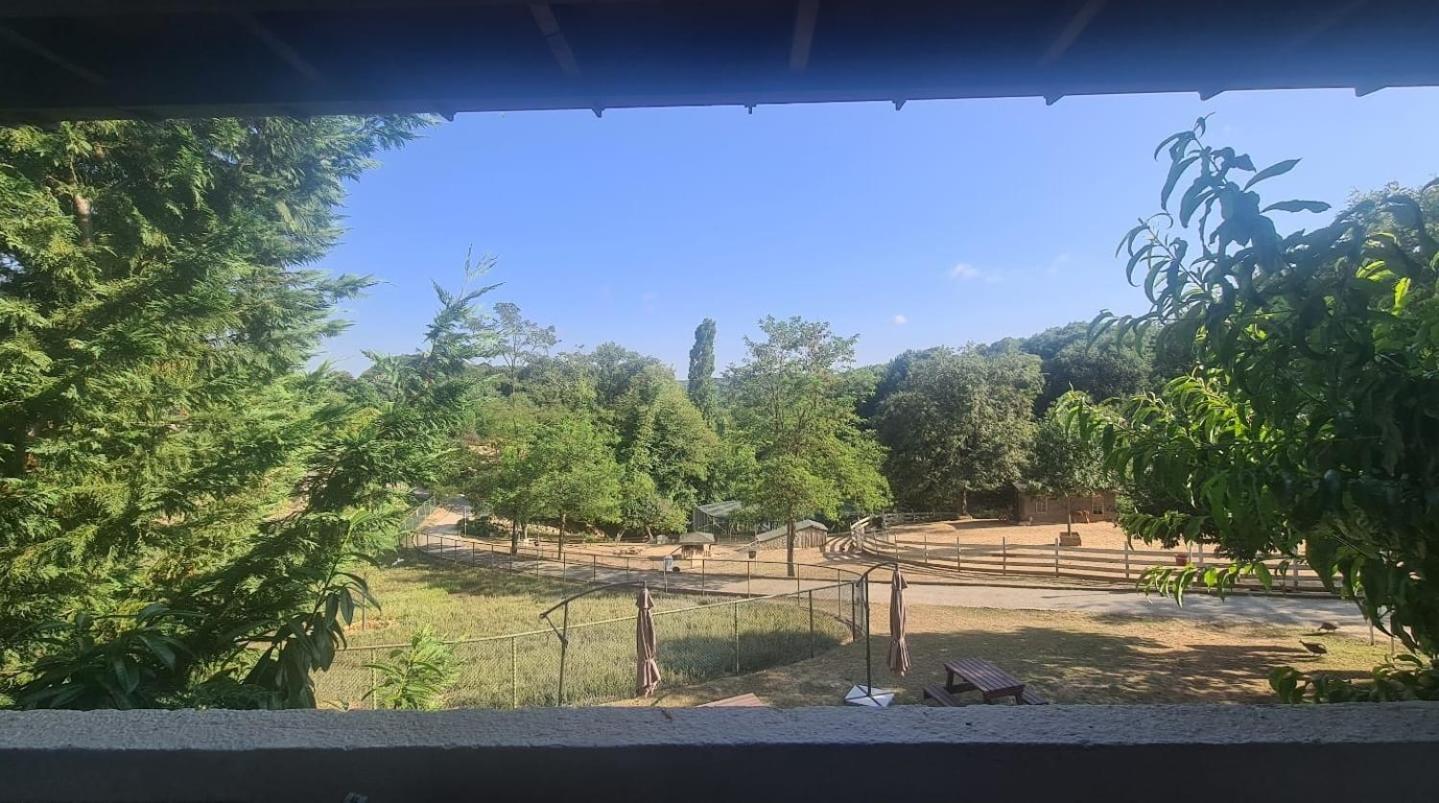 Polonezkoey Country Club & Accommodation In The Wildlife Park! Isztambul Kültér fotó